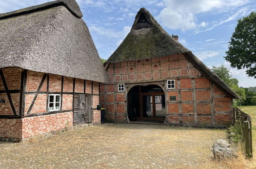 Photo 20 - Maison de 2 chambres à Sandbostel avec jardin