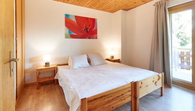 Haus mit 5 Schlafzimmern in Vex mit terrasse - Foto 5