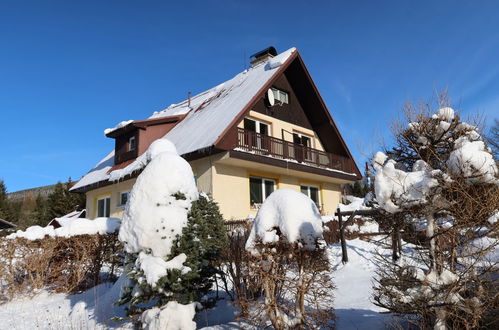 Foto 30 - Appartamento con 3 camere da letto a Harrachov con piscina privata e giardino