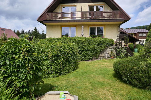 Foto 22 - Apartamento de 3 quartos em Harrachov com piscina privada e jardim