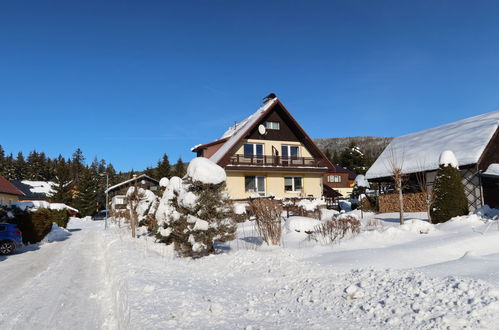 Foto 32 - Appartamento con 3 camere da letto a Harrachov con piscina privata e giardino