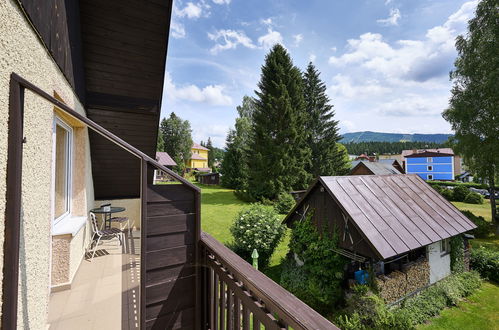 Foto 14 - Appartamento con 3 camere da letto a Harrachov con piscina privata e giardino