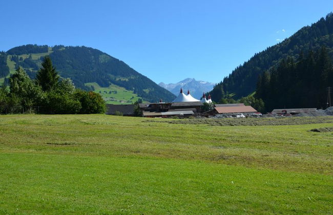 Apartamento de 3 quartos em Saanen - Foto 5