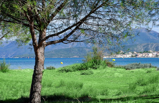 Apartment mit 2 Schlafzimmern in Saint-Florent mit schwimmbad und terrasse - Foto 18