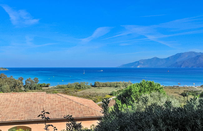 Apartment mit 2 Schlafzimmern in Saint-Florent mit schwimmbad und terrasse - Foto 16