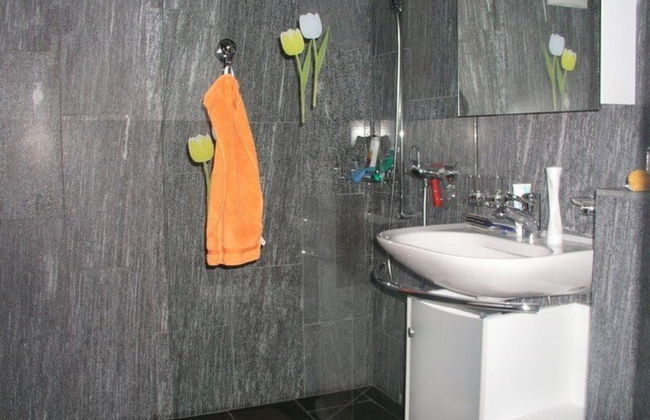 Apartamento de 1 quarto em Disentis/Mustér - Foto 6