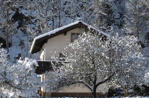 Foto 19 - Apartamento de 2 habitaciones en Zell am See con vistas a la montaña
