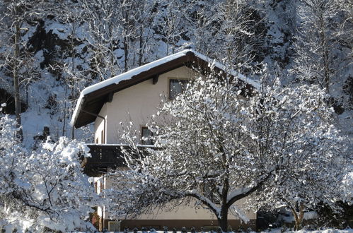 Photo 19 - Appartement de 2 chambres à Zell am See avec jardin