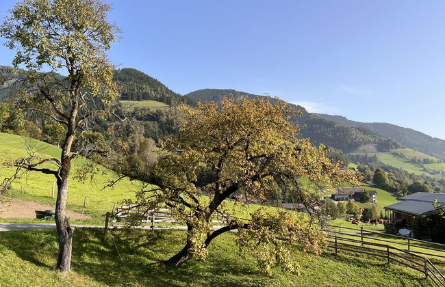 Bauernhof Gasteg (S) - Foto 7