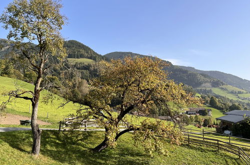 Foto 6 - Appartamento con 2 camere da letto a Piesendorf con giardino e vista sulle montagne