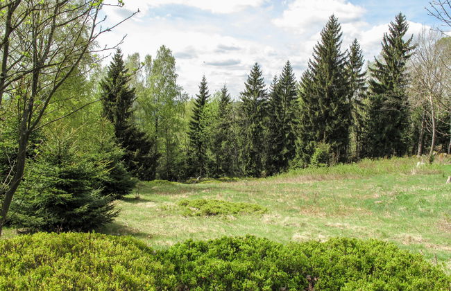 Casa de 4 quartos em Kořenov com jardim - Foto 49