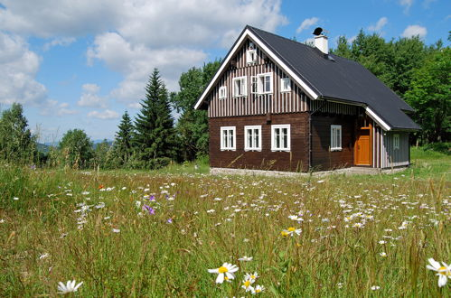 Foto 14 - Haus mit 3 Schlafzimmern in Kořenov mit garten