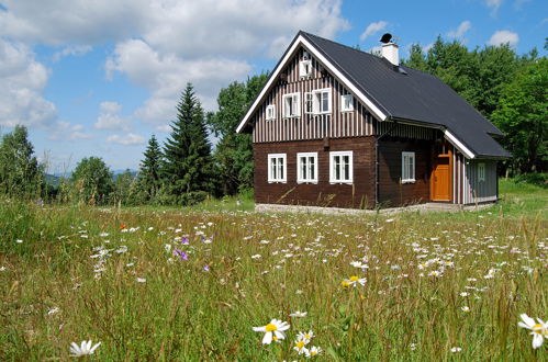 Photo 38 - Maison de 3 chambres à Kořenov avec jardin