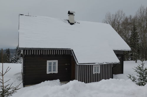 Foto 11 - Haus mit 3 Schlafzimmern in Kořenov mit garten