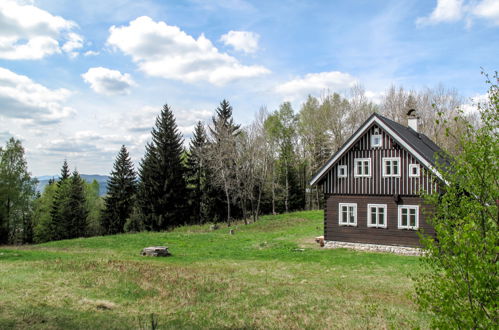 Foto 4 - Casa de 3 habitaciones en Kořenov con jardín