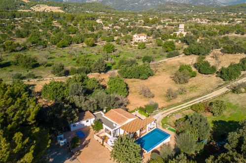 Photo 31 - 2 bedroom House in Selva with private pool and garden