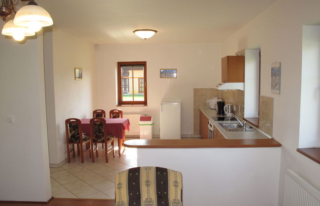 Apartamento de 1 quarto em Jetřichovice com piscina e jardim - Foto 7