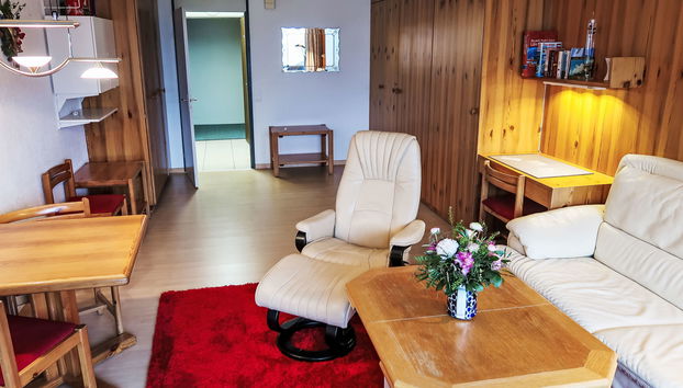Apartment mit 1 Schlafzimmer in Disentis/Mustér mit schwimmbad und garten - Foto 3