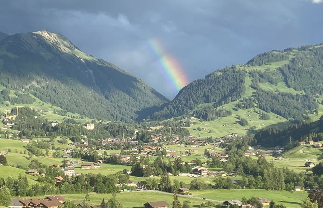 Apartamento de 2 quartos em Saanen - Foto 11
