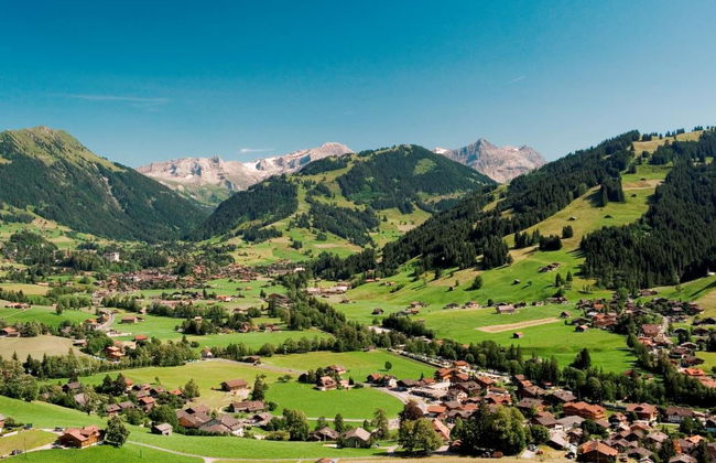 Apartamento de 2 quartos em Saanen - Foto 12