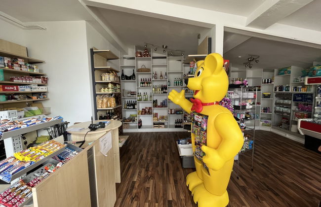 Apartamento de 3 quartos em Frankenau com jardim e terraço - Foto 26