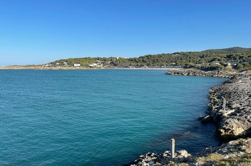 Foto 30 - Haus mit 2 Schlafzimmern in Peschici mit schwimmbad und blick aufs meer