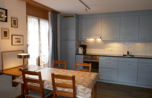 Apartamento de 2 quartos em Grindelwald com jardim - Foto 11