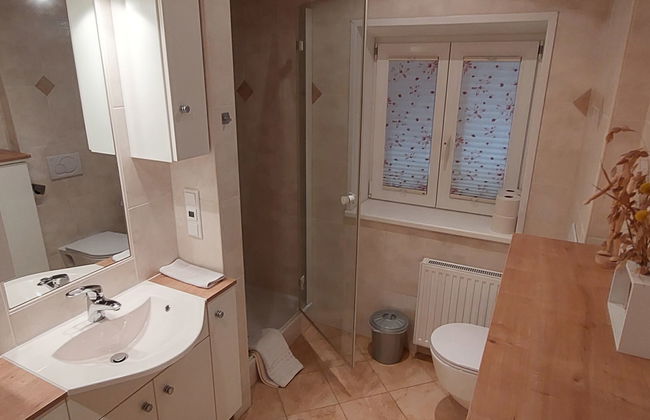 Apartamento de 1 quarto em Maishofen com jardim e sauna - Foto 5