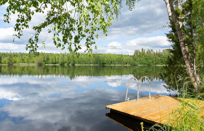 Haus mit 1 Schlafzimmer in Mikkeli mit sauna - Foto 12