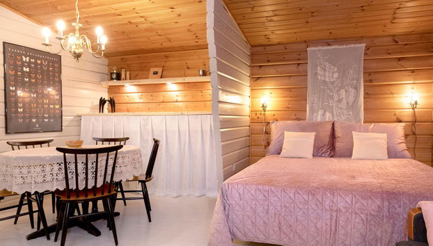 Haus mit 1 Schlafzimmer in Mikkeli mit sauna - Foto 5