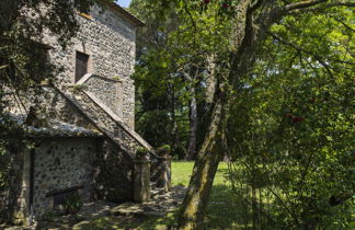 Foto 3 - Apartamento en Bagnoregio con piscina y jardín