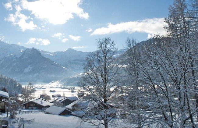 Apartamento de 1 quarto em Lenk - Foto 4