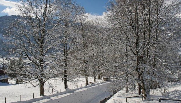 Apartamento de 1 quarto em Lenk - Foto 5