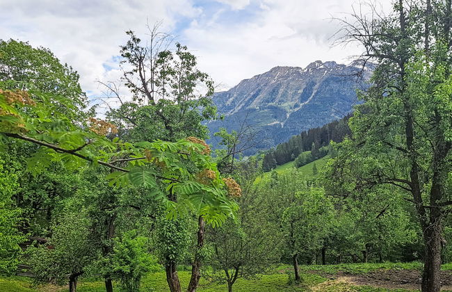 Casa de 4 quartos em Sankt Veit im Pongau com jardim e terraço - Foto 63