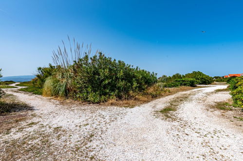 Foto 48 - Appartamento con 1 camera da letto a Le Barcarès con vista mare