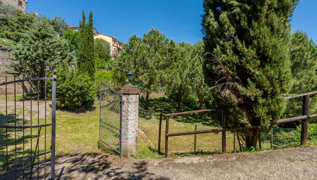 3 bedroom House in Scansano with garden and hot tub - Photo 3