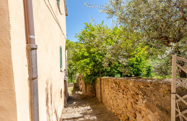 Casa de 3 quartos em Scansano com jardim e banheira de hidromassagem - Foto 42