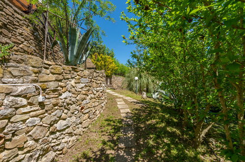 Photo 31 - Maison de 2 chambres à Scansano avec jardin et vues à la mer