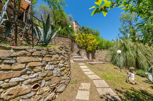 Photo 27 - Maison de 2 chambres à Scansano avec jardin et vues à la mer