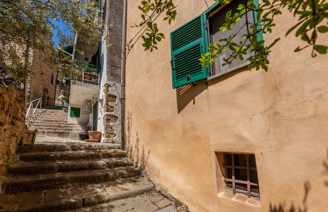 Casa de 3 quartos em Scansano com jardim e banheira de hidromassagem - Foto 32