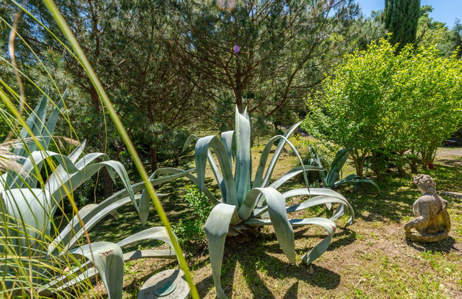 Casa de 3 quartos em Scansano com jardim e banheira de hidromassagem - Foto 41
