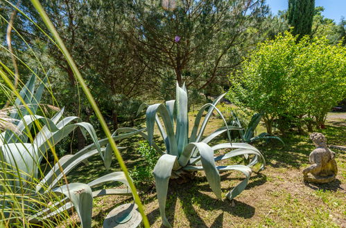 Photo 39 - Maison de 2 chambres à Scansano avec jardin et vues à la mer