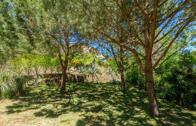 Casa de 3 quartos em Scansano com jardim e banheira de hidromassagem - Foto 39