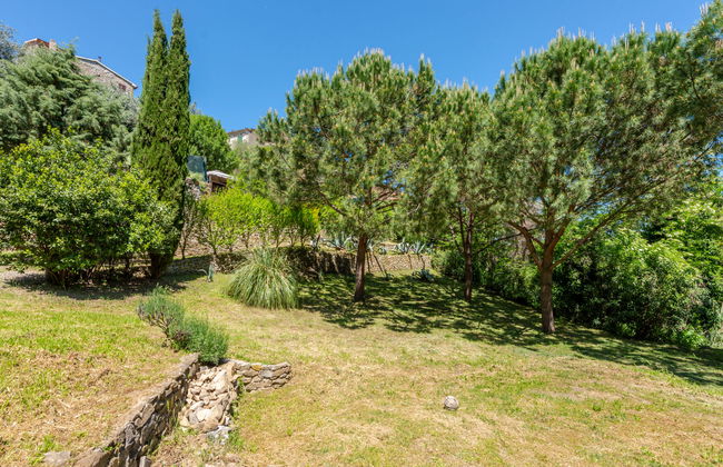 Casa de 3 quartos em Scansano com jardim e banheira de hidromassagem - Foto 40