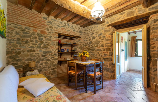 Casa de 3 quartos em Scansano com jardim e banheira de hidromassagem - Foto 7