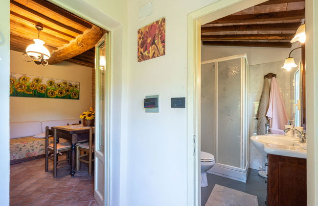 Casa de 3 quartos em Scansano com jardim e banheira de hidromassagem - Foto 22