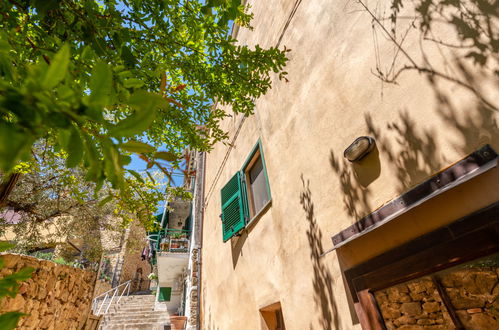 Photo 45 - Maison de 2 chambres à Scansano avec jardin