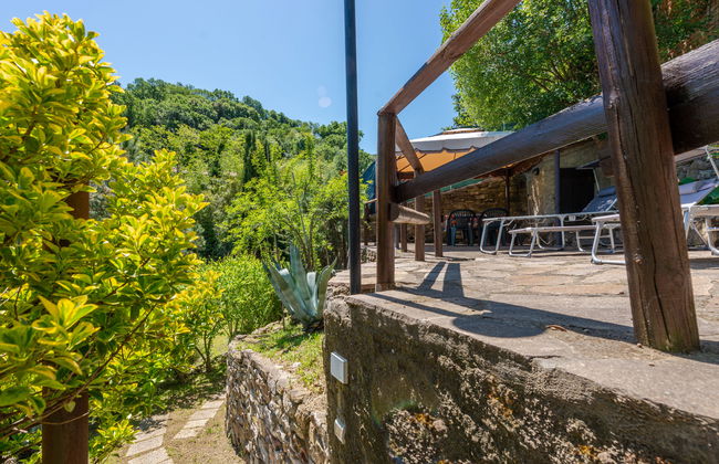 Casa de 3 quartos em Scansano com jardim e banheira de hidromassagem - Foto 36