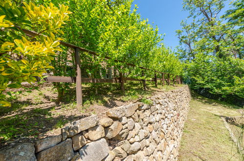 Photo 41 - Maison de 2 chambres à Scansano avec jardin et vues à la mer