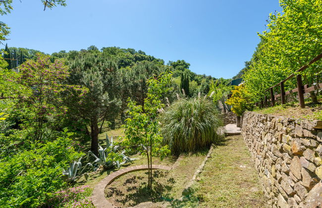 Casa de 3 quartos em Scansano com jardim e banheira de hidromassagem - Foto 35